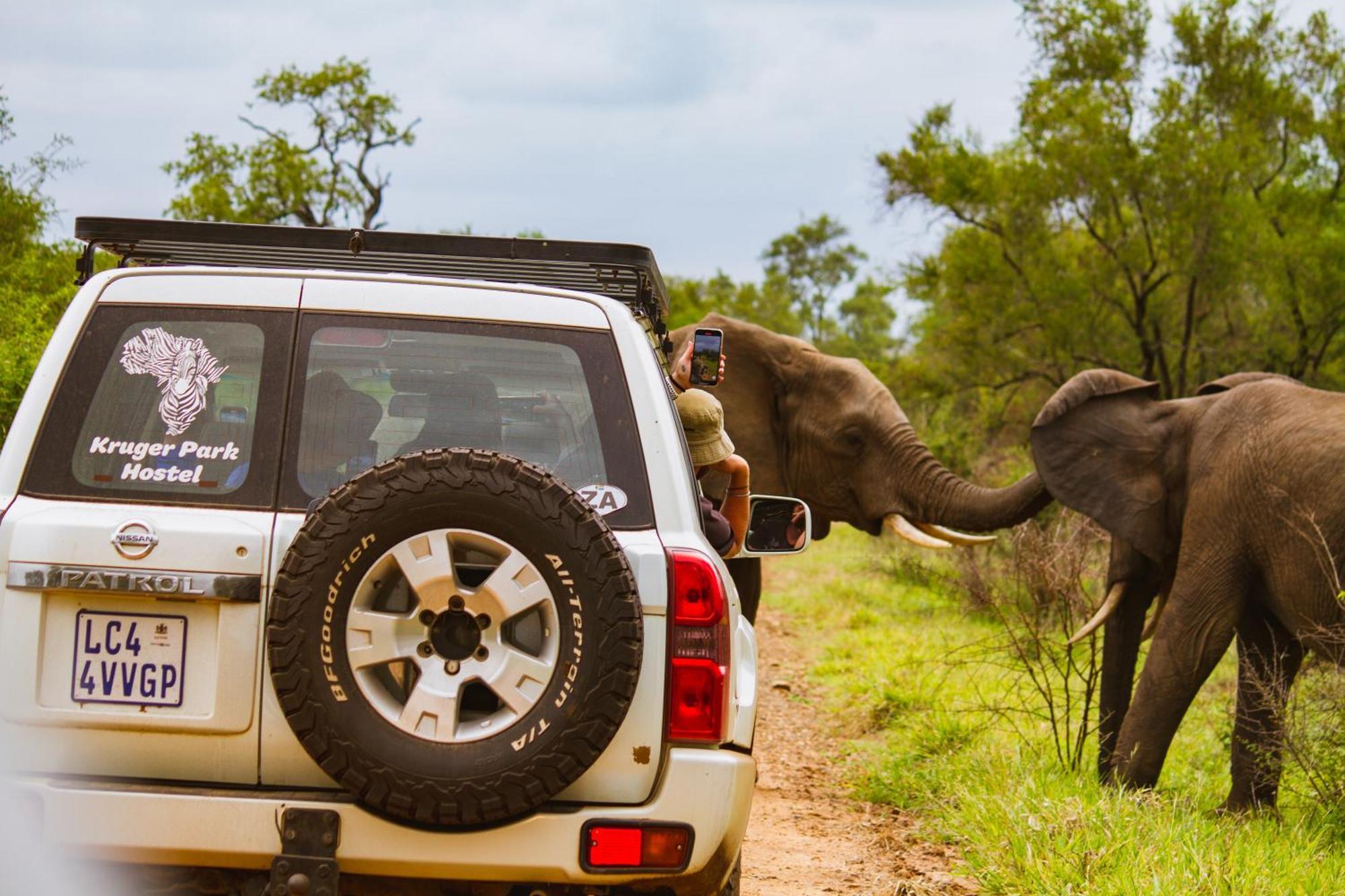 Kruger Park Hostel Marloth Park Buitenkant foto